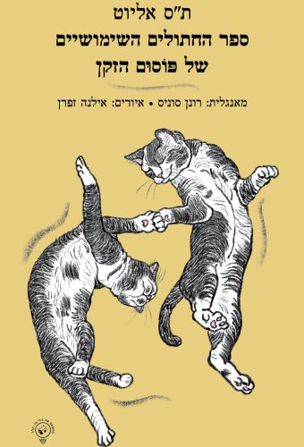 practical cats_cover